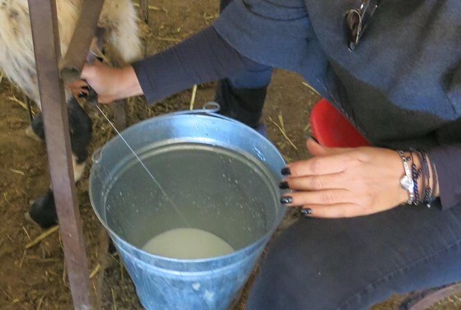 Halloumi Heaven: Cheese-Making Class & Troodos Mountain Villages 8h - Practical Details and Value
