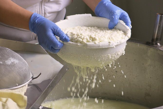 Halloumi Heaven: Cheese-Making Class & Troodos Mountain Villages 8h - What to Expect on the Day