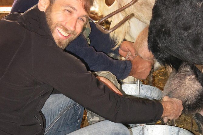 Halloumi Heaven: Cheese-Making Class & Troodos Mountain Villages 8h - Real Experiences from Reviewers