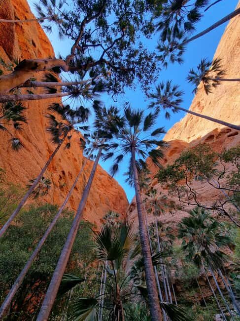 Halls Creek to Bungles: Fly /Drive + Aboriginal local guides - FAQ