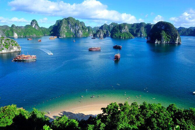 Halong Bay 2 Days 1 Night with Serenity Cruises 5 Star Luxury - Food and Beverages