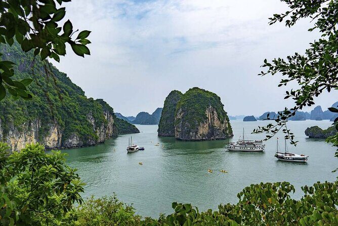Halong Bay Cruise Luxury Full Day Tours - The Value for Money