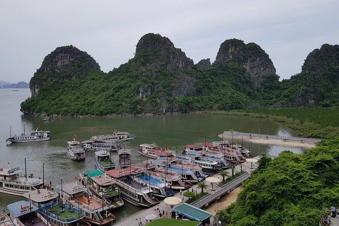 Halong Bay Cruise Tour from Hanoi with Kayak Adventure - How the Itinerary Unfolds
