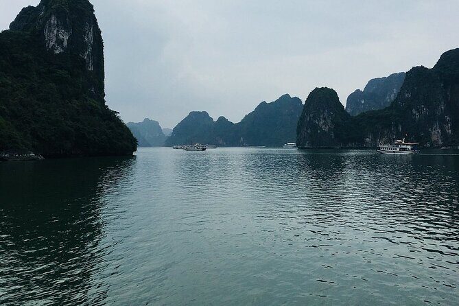 Halong Bay Cruise Tour from Hanoi with Kayak Adventure - Authentic Experiences and Honest Feedback