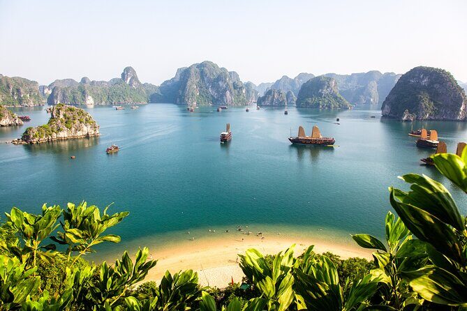 Halong Bay Cruises Top Seller included Pick up & Transfers - An Honest Look at the Tour