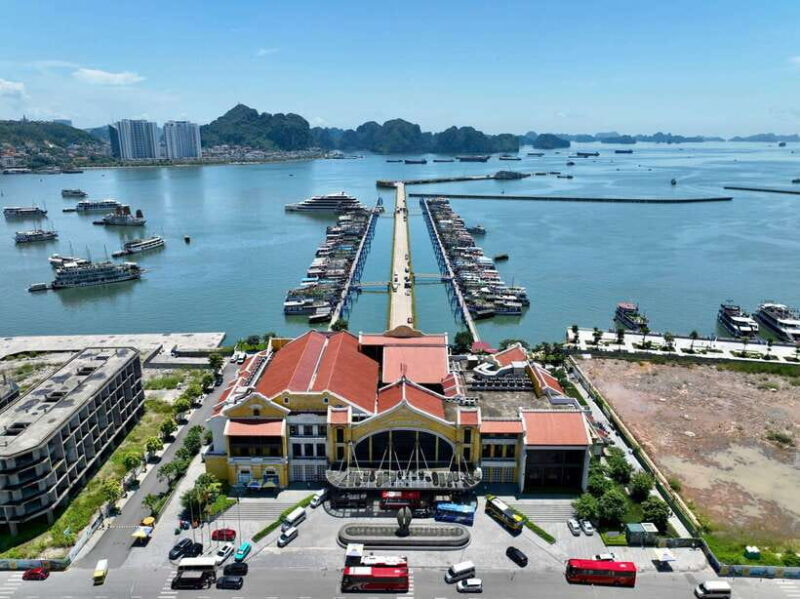 Halong bay day tour: Best seller IRIS CRUISE with live band - Key Points