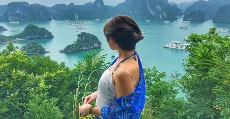 Halong Bay Full-Day Titop Island, Sung Sot & Luon Cave - Key Points