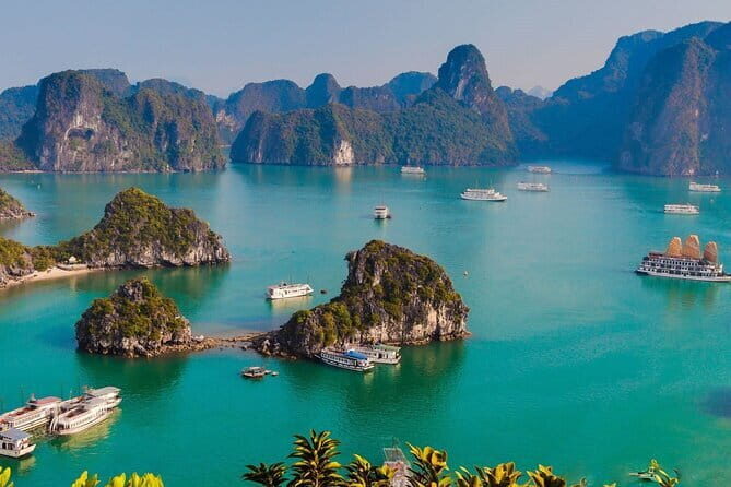 Halong Bay One Day Tour Included Bus - Who Is This Tour Best For?