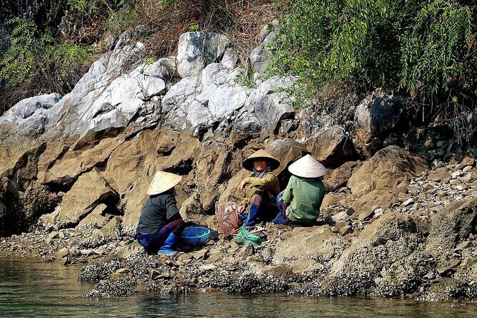 Halong bay one day trip from Hanoi - An In-Depth Look at the Tour Experience