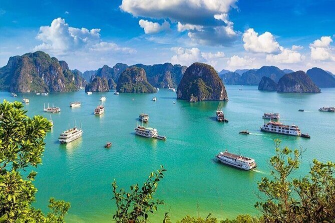 Halong Bay Overnight Cruise with Water Activities - Who Is This Tour Best For?