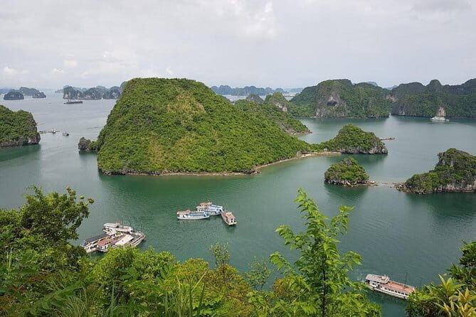 Halong Bay Shore Excursion: Full Day Cruise Tour from Cruise Port - Who Should Consider This Tour?