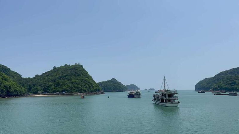 Halong Bay Sightseeing Cruise Full Day Tour With Buffet - An In-Depth Look at the Experience  