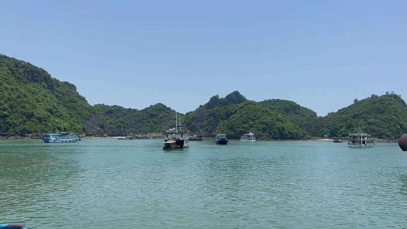 Halong Bay Sightseeing Cruise Full Day Tour With Buffet - FAQ  