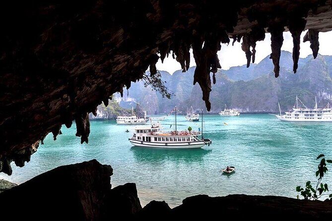 Halong Bay Standard Cruise 1 Day Tour from Tuan Chau Harbor/Hanoi - Transport, Pricing, and Overall Value