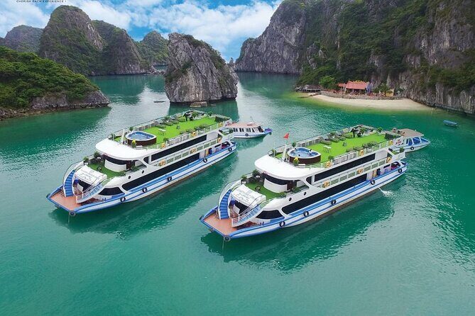Halong Bay VIP Cruise: Swim, Kayak, Caves, Buffet Lunch and Party - Key Points