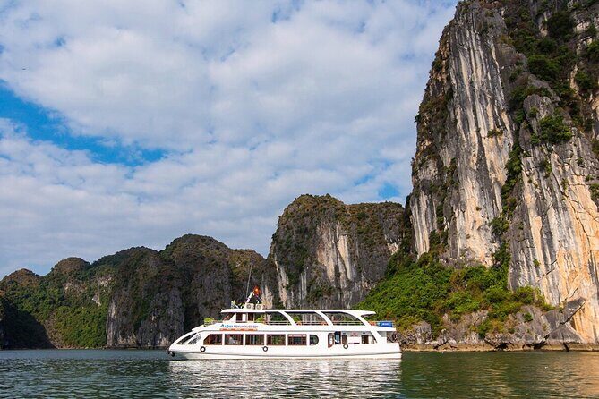 Halong Cruise Day Tour with Lunch, Cave Explore & Titop Island - Who Should Book This Tour?