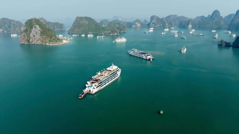 Halong Day Cruise: 7 Hour Explorer with Luna Halong Cruise - Key Points