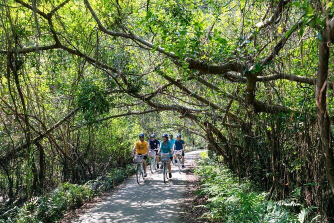Halong Lan Ha Bay 2D1N by Sea Coral Cruise from Tuan Chau Port - An In-depth Look at the Itinerary