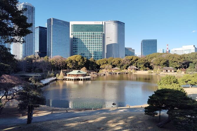 Hama Rikyu Private Tokyo Walking Experience - In-Depth Look at the Tour Itinerary