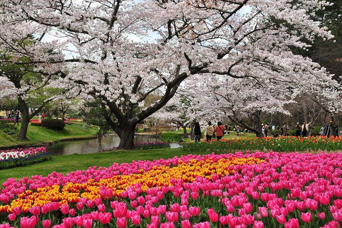 hamamatsu-flower-park-lake-hamana-private-tour-with-public-bus