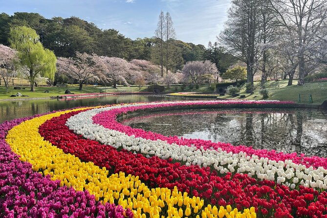 hamamatsu-flower-park-lake-hamana-private-tour-with-public-bus