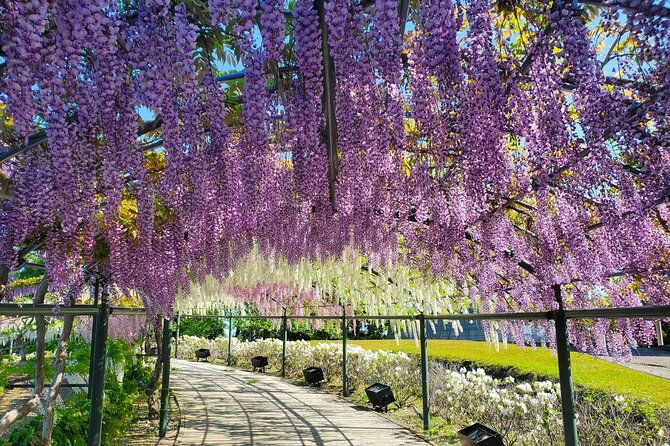 hamamatsu-flower-park-lake-hamana-private-tour-with-public-bus