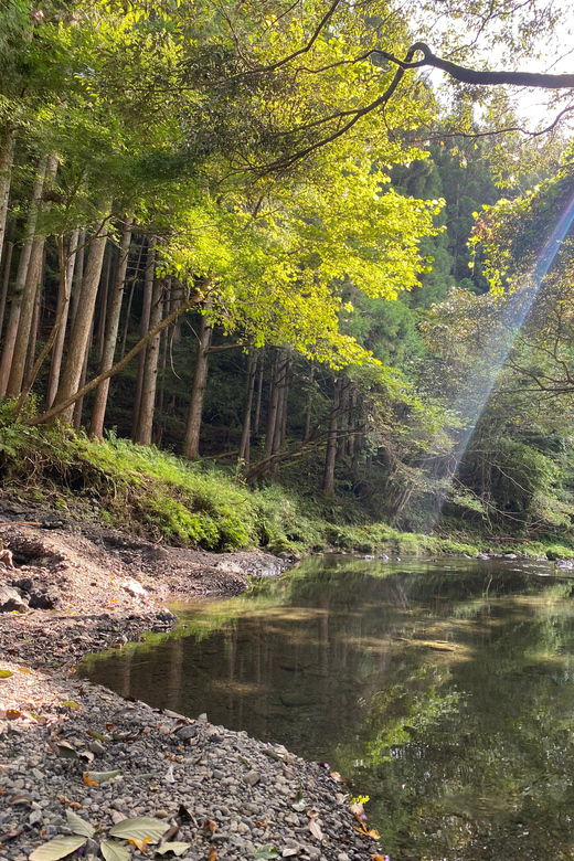 hamamatsu-japan-riverside-camping