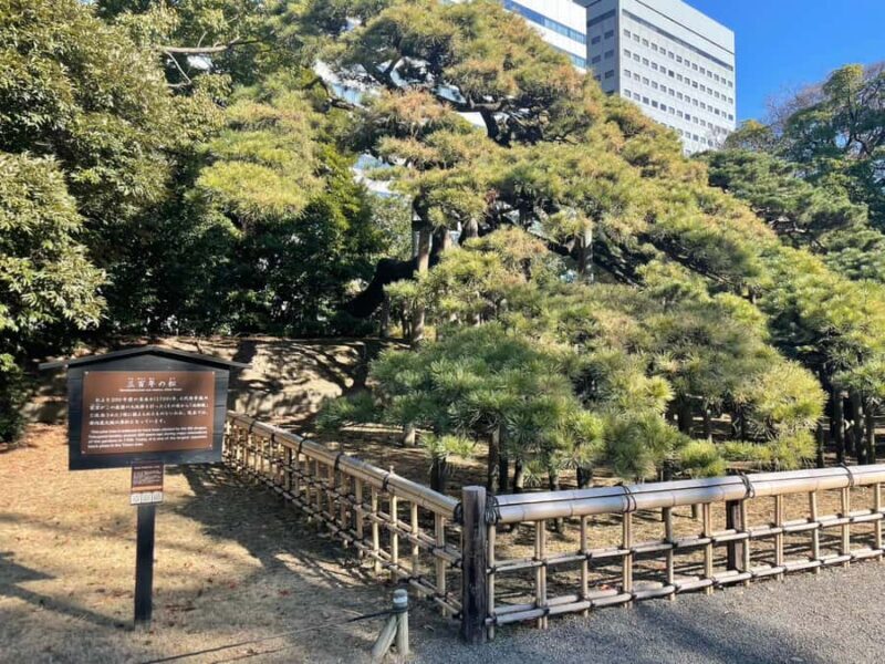 Hamarikyu - Ginza Park Tour - Key Points