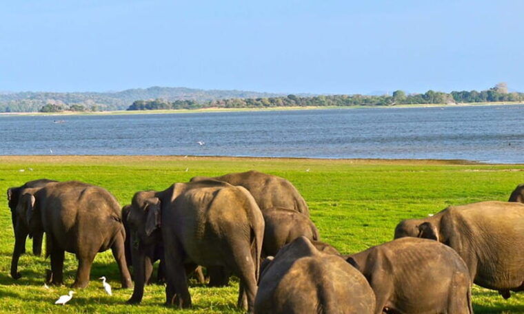 hambantota-port-udawalawe-safari-tour-transit-home-visit