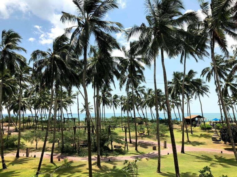 hambantota-shore-excursion-village-and-cultural-tour