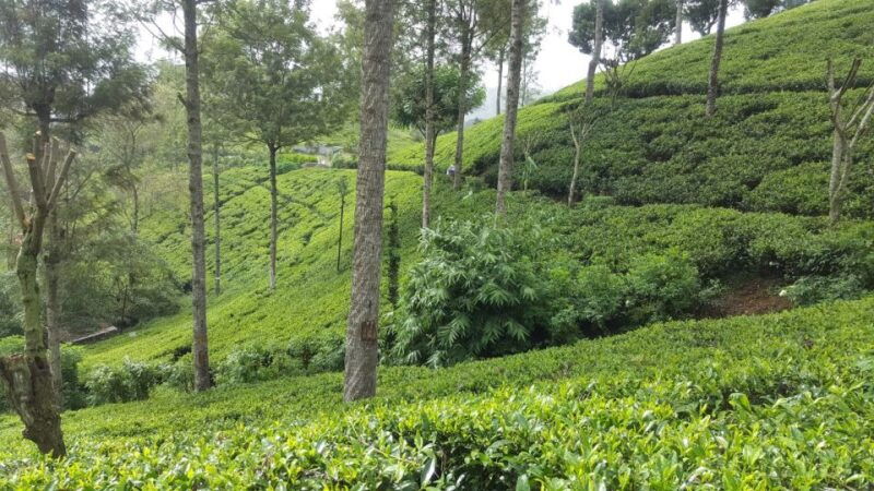 hambantota-tangalle-hiriketiya-ella-highlands-day-tour
