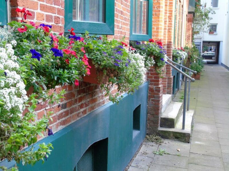 hamburg-2-hour-st-georg-walking-tour