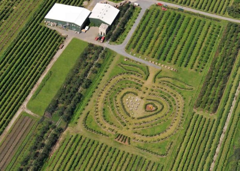 Hamburg: Altes Land Private Nature and Agriculture Tour - Key Points
