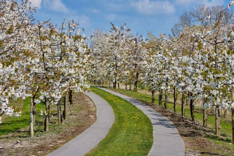 Hamburg: Altes Land Private Nature and Agriculture Tour - Frequently Asked Questions