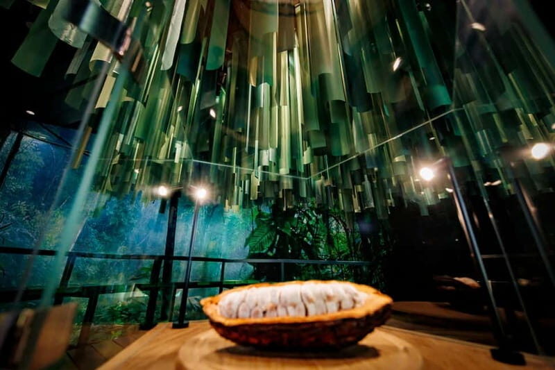 Hamburg: Chocoversum Guided Tour with Tastings - FAQs