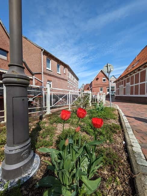 Hamburg Country Side - Altes Land - What Makes the Hamburg Countryside - Altes Land Tour Special?