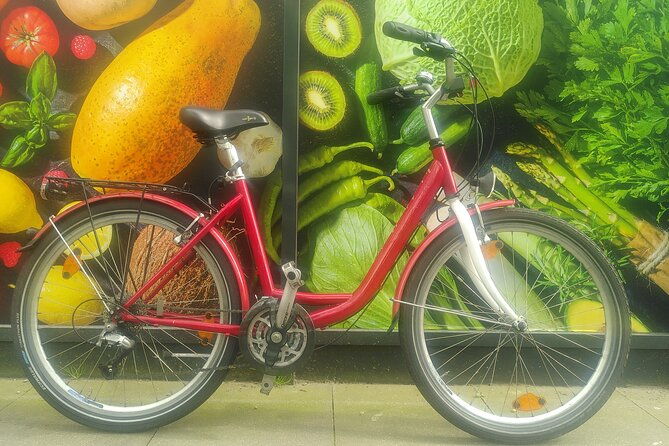 hamburg-experienced-differently-with-wish-rental-bike-relaxed-enjoy