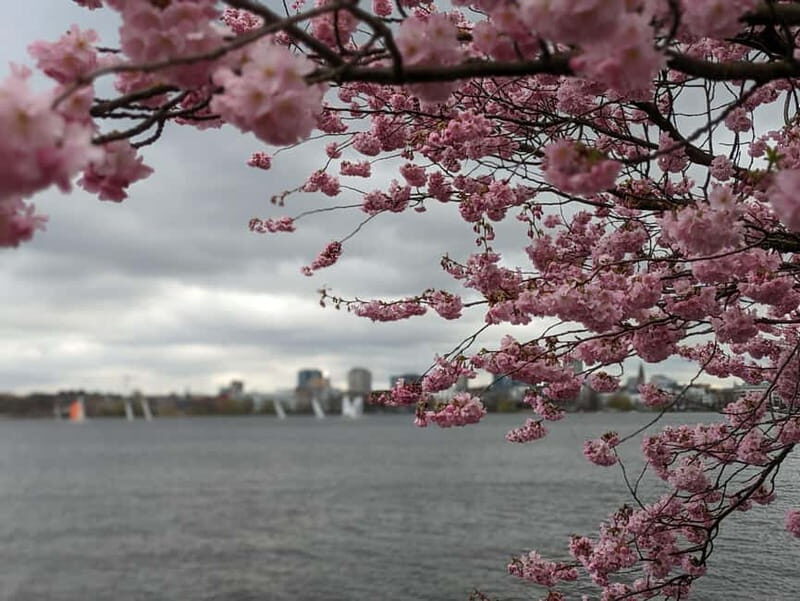 Hamburg Van Tour - Spring Special - Key Points