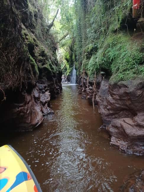 Hamilton Gardens - 30 min Ecological River Cruise - An In-Depth Look at the Hamilton Gardens Ecological River Cruise