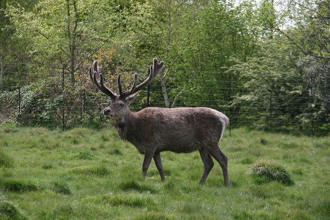 hampton-court-palace-grounds-bike-tour