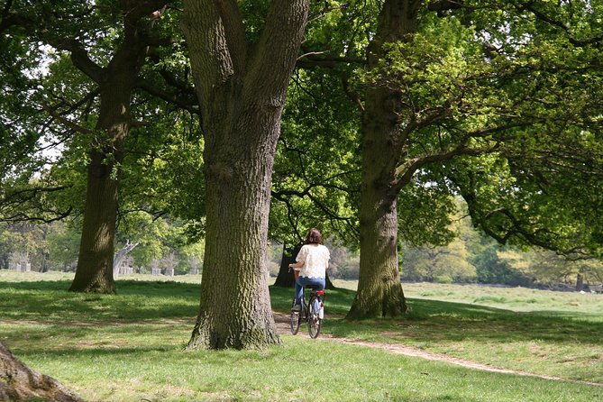 hampton-court-palace-grounds-bike-tour