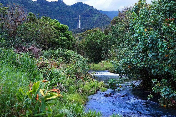 Hana Rainforest Helicopter Flight with Landing from Maui - Discovering Maui from Above: The Experience in Detail