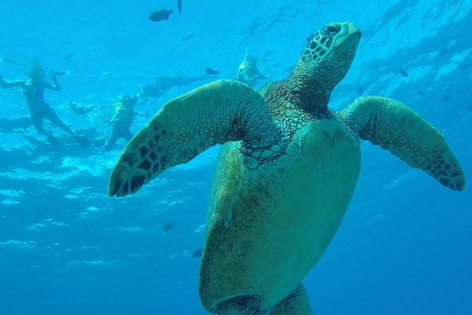 hanauma-bay-guided-snorkel-tour-with-guaranteed-entrance-time