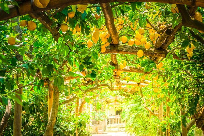 hands-on-cooking-class-farmhouse-visit-in-the-amalfi-coast