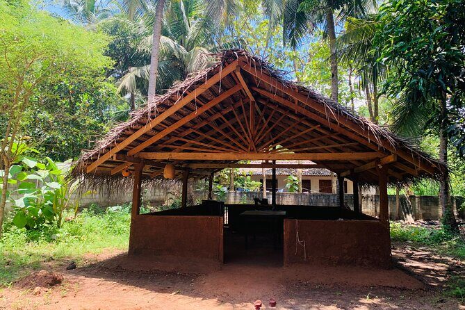 Hands-On Cooking Class in Anuradhapura-Cook Like a Local - An In-Depth Look at the Experience