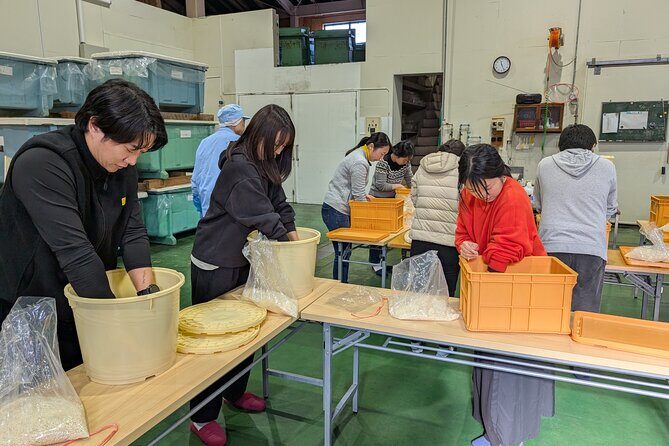 Hands-on History: Make Your Own Miso at a 240-Year-Old Brewery - Who Is This Tour Best For?