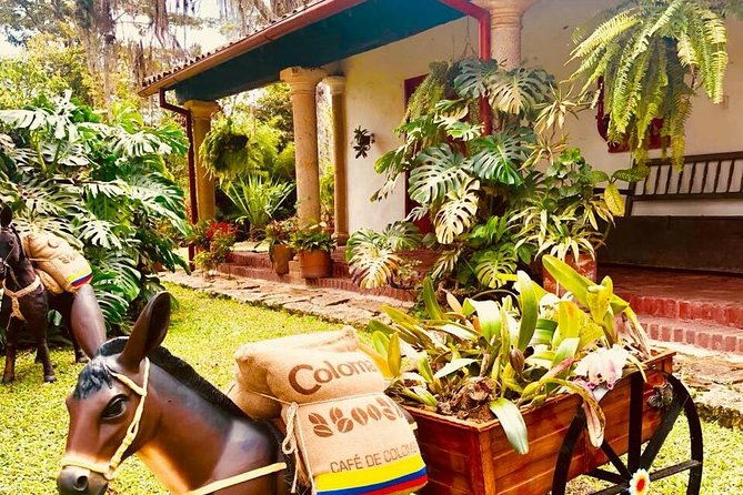 hands-on-tour-to-coffee-plantation-from-bogota-option-basic