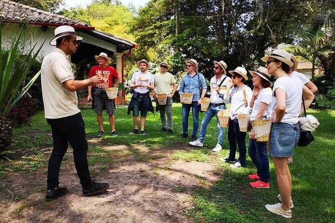 hands-on-tour-to-coffee-plantation-from-bogota-option-basic