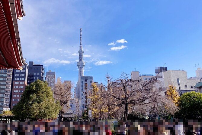 haneda-layover-tokyo-private-tour-by-public-transportation