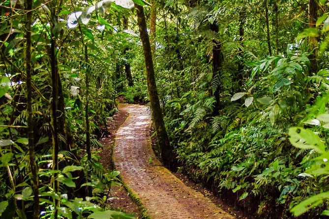 hanging-bridges-tour-guide-from-monteverde